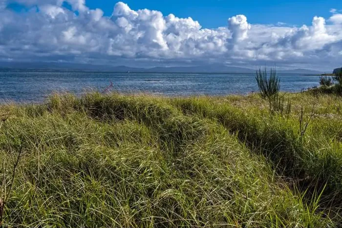 Framed Print : A hiking trail cuts through the grass to the Willapa Bay shore at Leadbetter Point State Park in Washington, USA Framed Print : A hiking trail cuts through the grass to the Willapa Bay shore at Leadbetter Point State Park in Washington, USA