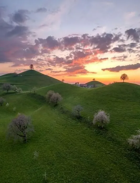 Framed Print : Hill landscape in switzerland during sunset, on each hill there is a tree Framed Print : Hill landscape in switzerland during sunset, on each hill there is a tree