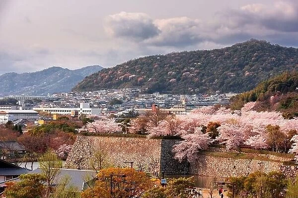 Himeji, Japan at Himeji Castle outer wall during spring cherry blossom season in the day
