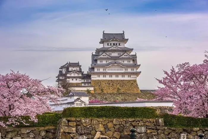 Framed Print : Himeji, Japan at Himeji Castle during spring cherry blossom season