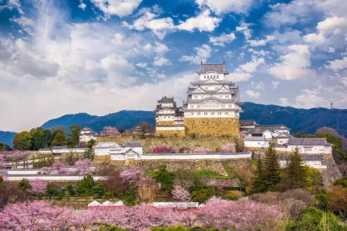 Framed Print : Himeji, Japan at Himeji Castle during spring cherry blossom season Framed Print : Himeji, Japan at Himeji Castle during spring cherry blossom season