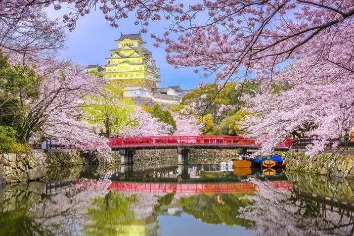 Framed Print : Himeji, Japan at Himeji Castle during spring cherry blossom season Framed Print : Himeji, Japan at Himeji Castle during spring cherry blossom season