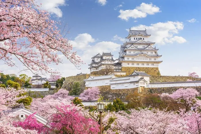 Framed Print : Himeji, Japan at Himeji Castle during spring cherry blossom season Framed Print : Himeji, Japan at Himeji Castle during spring cherry blossom season