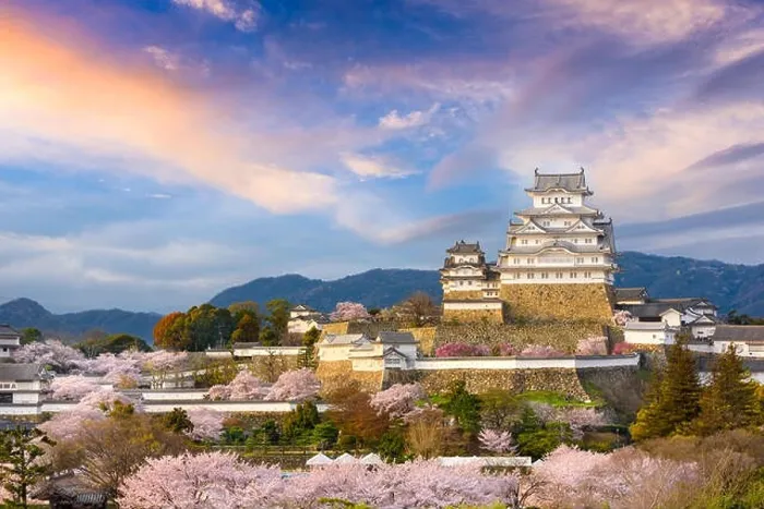 Framed Print : Himeji, Japan at Himeji Castle during spring cherry blossom season Framed Print : Himeji, Japan at Himeji Castle during spring cherry blossom season