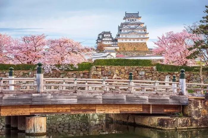 Framed Print : Himeji, Japan at Himeji Castle during spring cherry blossom season Framed Print : Himeji, Japan at Himeji Castle during spring cherry blossom season