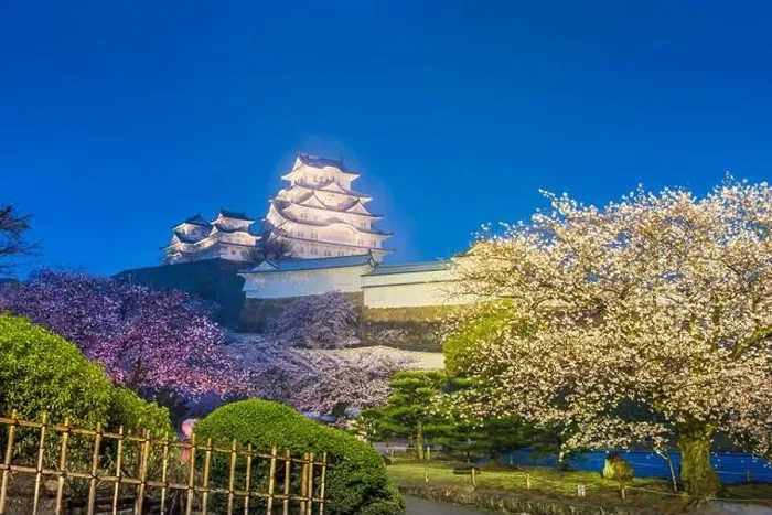 Framed Print : Himeji, Japan at Himeji Castle in spring with cherry blossoms at night Framed Print : Himeji, Japan at Himeji Castle in spring with cherry blossoms at night