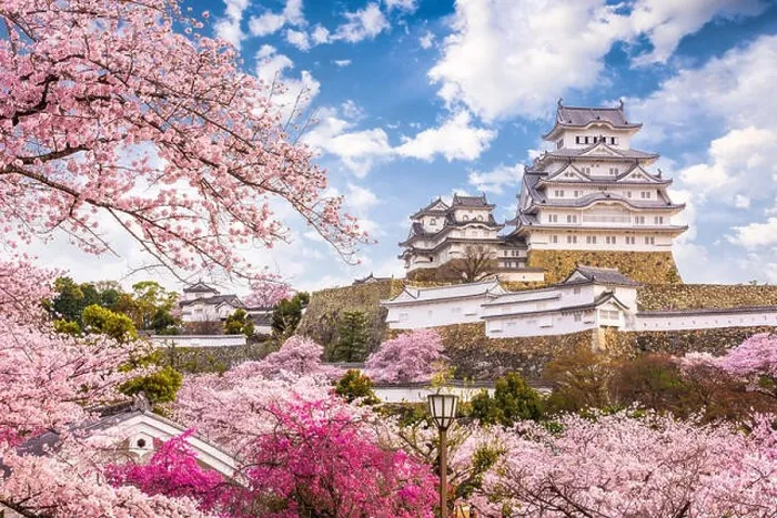 Framed Print : Himeji, Japan at Himeji Castle in spring season Framed Print : Himeji, Japan at Himeji Castle in spring season