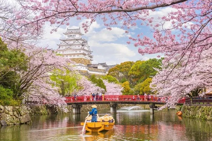 Framed Print : Himeji, Japan at Himeji Castle in spring season Framed Print : Himeji, Japan at Himeji Castle in spring season