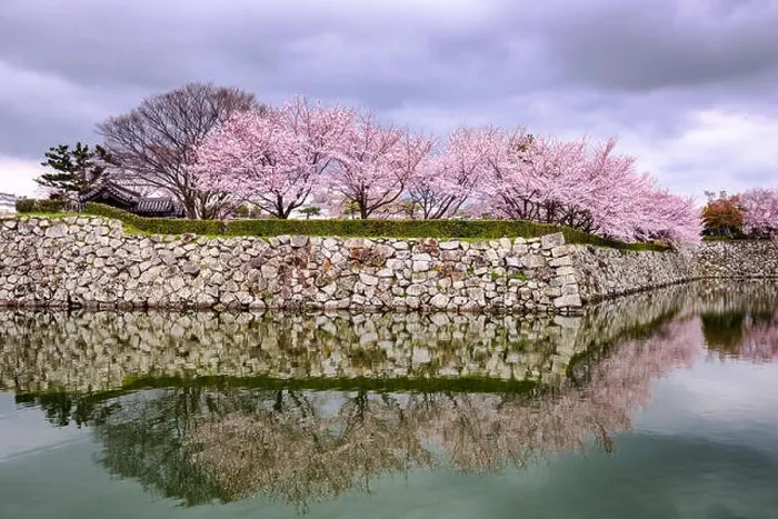 Framed Print : Himeji, Japan at Himeji Castle in spring season Framed Print : Himeji, Japan at Himeji Castle in spring season