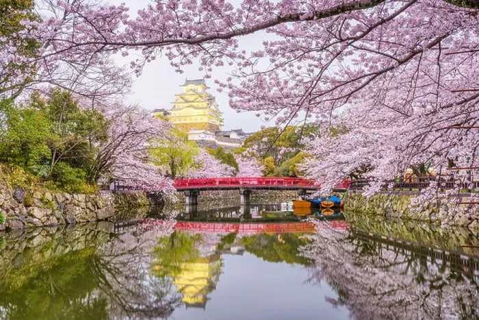 Framed Print : Himeji, Japan at Himeji Castle in spring season Framed Print : Himeji, Japan at Himeji Castle in spring season