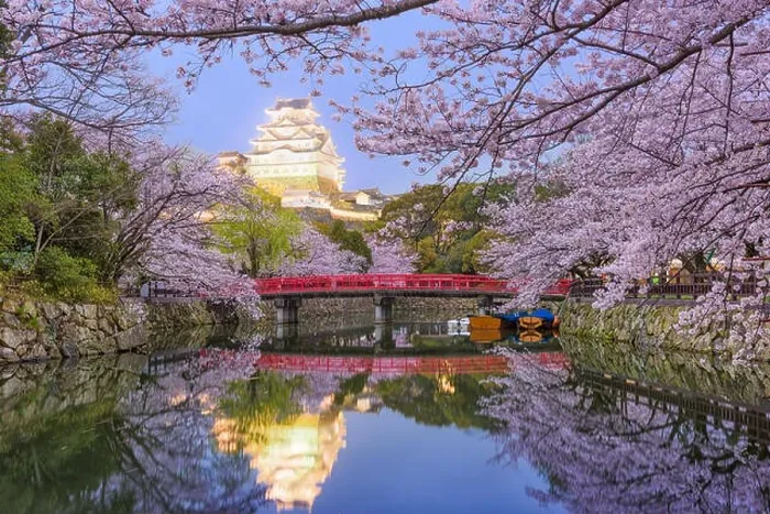 Framed Print : Himeji, Japan at Himeji Castle in spring season Framed Print : Himeji, Japan at Himeji Castle in spring season