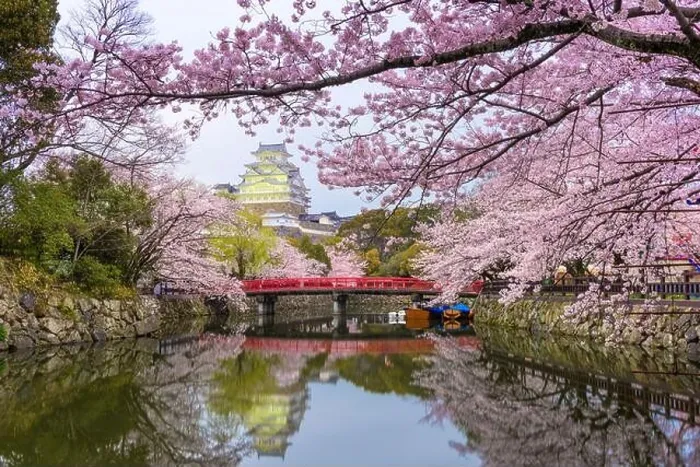 Framed Print : Himeji, Japan at Himeji Castle's surrounding moat in the spring season Framed Print : Himeji, Japan at Himeji Castle's surrounding moat in the spring season