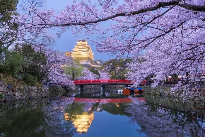 Framed Print : Himeji, Japan at Himeji Castle's surrounding moat in the spring season at dusk Framed Print : Himeji, Japan at Himeji Castle's surrounding moat in the spring season at dusk