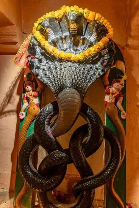 Framed Print : hindu god lord sheshnag worshiped by devotees with garland offering at temple