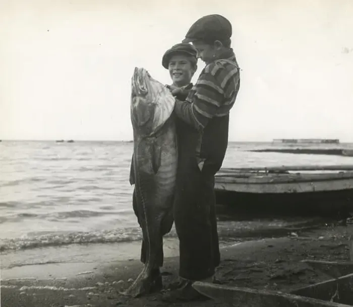 Framed Print : Hooking a big cod fish near Gascons, Quebec (17080683402) Framed Print : Hooking a big cod fish near Gascons, Quebec (17080683402)