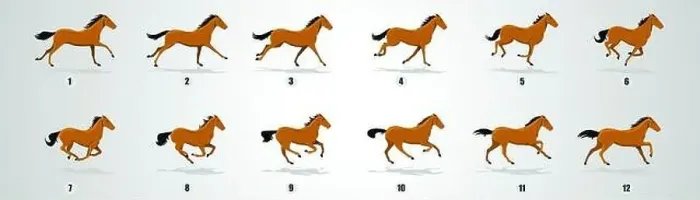 Framed Print : Horse Run cycle silhouette, loop animation sprite sheet vector