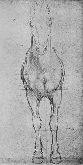 Framed Print : A Horse Seen from the Front, c1480 (1945). Artist: Leonardo da Vinci Framed Print : A Horse Seen from the Front, c1480 (1945). Artist: Leonardo da Vinci