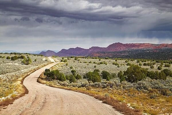 House Rock Valley road in Utah and Arizona desert, USA