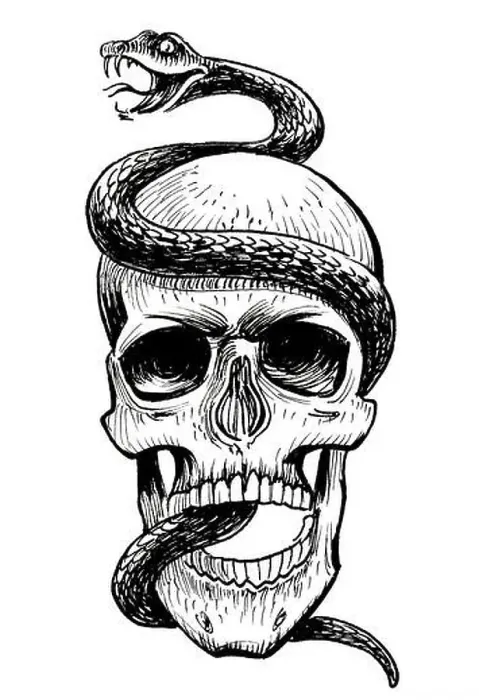Framed Print : Human skull and poisonous snake. Ink black and white drawing Framed Print : Human skull and poisonous snake. Ink black and white drawing