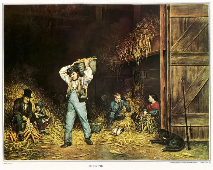 Framed Print : Husking Framed Print : Husking