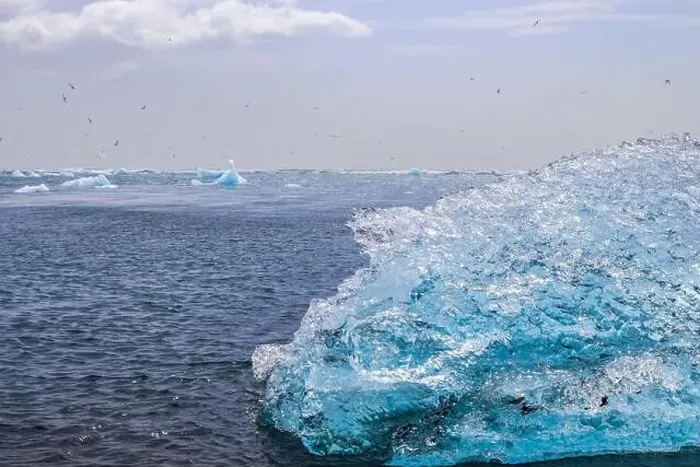 Framed Print : Icebergs floating on Jokulsarlon glacier lagoon in Iceland, on Diamond Beach, with many birds flying Framed Print : Icebergs floating on Jokulsarlon glacier lagoon in Iceland, on Diamond Beach, with many birds flying