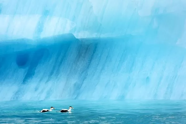 Icebergs in Jokulsarlon glacial lagoon