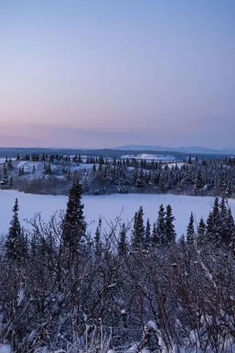 Framed Print : Icy lake surrounded by snowy trees under pink sky on a winter evening near Delta Junction, Alaska