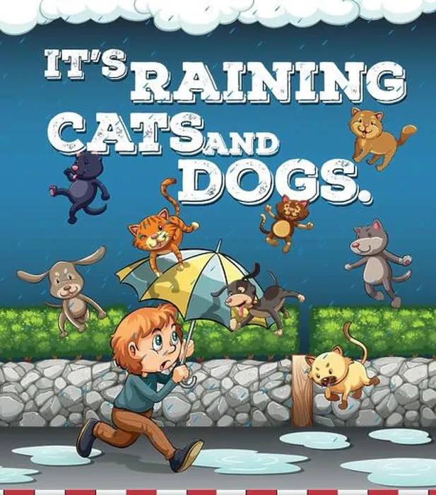 Framed Print : Idiom poster with raining cats and dogs illustration Framed Print : Idiom poster with raining cats and dogs illustration