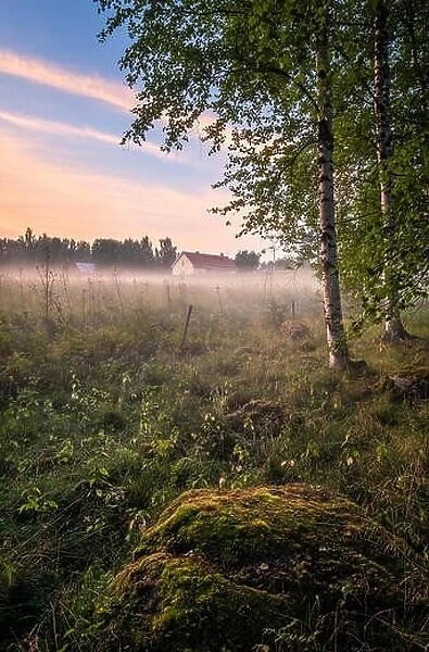 Idyllic farmland view with mist and sunset at summer evening in Mäntyharju, Finland