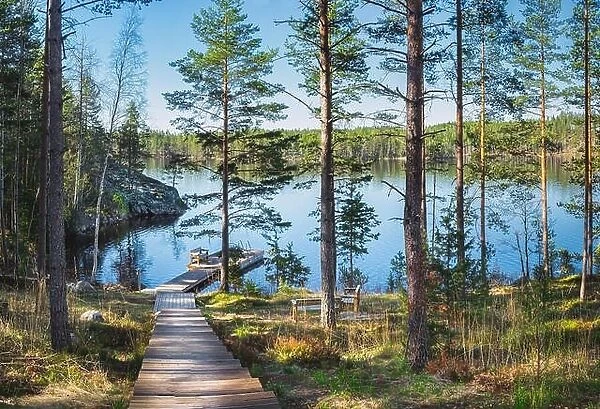 Idyllic forest landscape with pier and sunlight at warm summer day in Finland