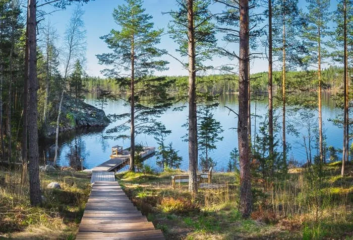 Framed Print : Idyllic forest landscape with pier and sunlight at warm summer day in Finland Framed Print : Idyllic forest landscape with pier and sunlight at warm summer day in Finland