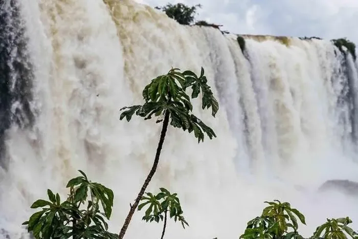 Framed Print : Iguazu falls Framed Print : Iguazu falls