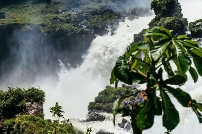 Framed Print : Iguazu falls Framed Print : Iguazu falls
