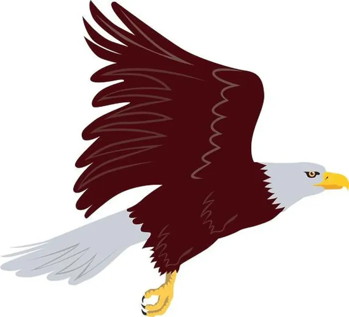 Framed Print : Illustration of a bald eagle flying set on isolated white background done in retro style Framed Print : Illustration of a bald eagle flying set on isolated white background done in retro style