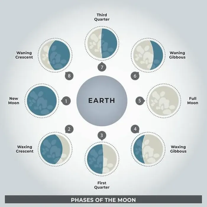 Framed Print : Illustration of the Phases of the Moon Text in English - Vector, Education Science, Lunar cycle Framed Print : Illustration of the Phases of the Moon Text in English - Vector, Education Science, Lunar cycle