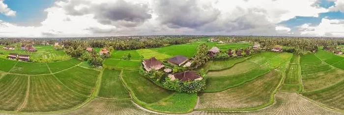 Framed Print : Image of beautiful Terraced rice field in water season and Irrigation from drone, Top view of rices paddy Framed Print : Image of beautiful Terraced rice field in water season and Irrigation from drone, Top view of rices paddy