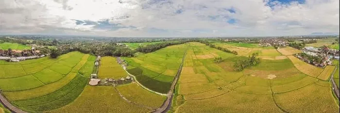 Framed Print : Image of beautiful Terraced rice field in water season and Irrigation from drone, Top view of rices paddy Framed Print : Image of beautiful Terraced rice field in water season and Irrigation from drone, Top view of rices paddy