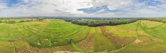 Framed Print : Image of beautiful Terraced rice field in water season and Irrigation from drone, Top view of rices paddy