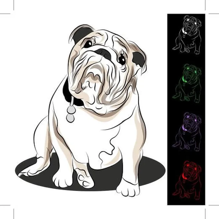 Framed Print : An image of a bulldog with tag Framed Print : An image of a bulldog with tag