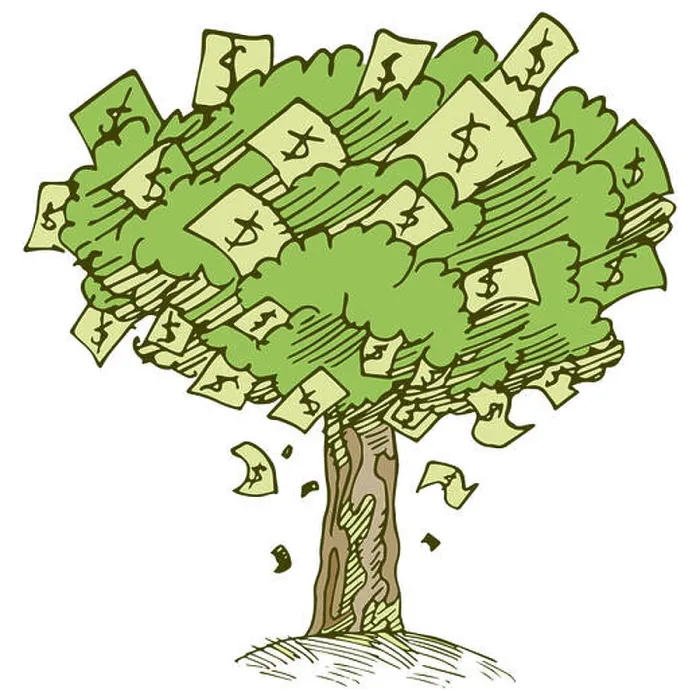 Framed Print : An image of a money tree Framed Print : An image of a money tree
