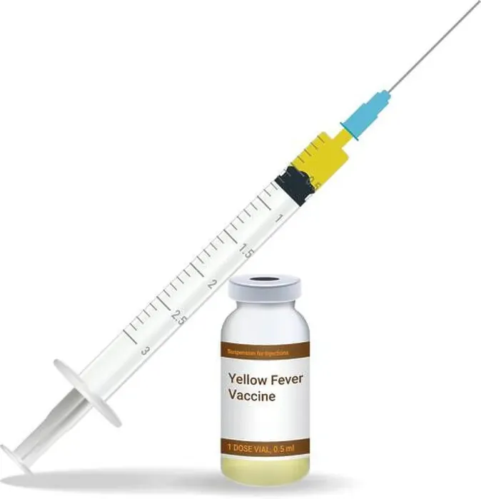 Framed Print : Immunization, Yellow Fever Vaccine Syringe With Yellow Vaccine Framed Print : Immunization, Yellow Fever Vaccine Syringe With Yellow Vaccine