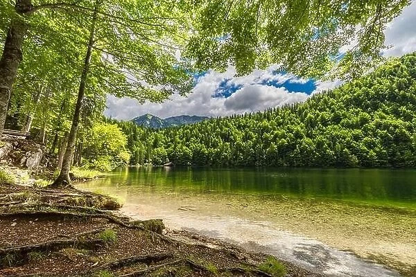 Impressively beautiful Fairy-tale mountain lake in Austrian Alps. Breathtaking nature scene for hiking and adventure. Mountain lake view, sunny trees