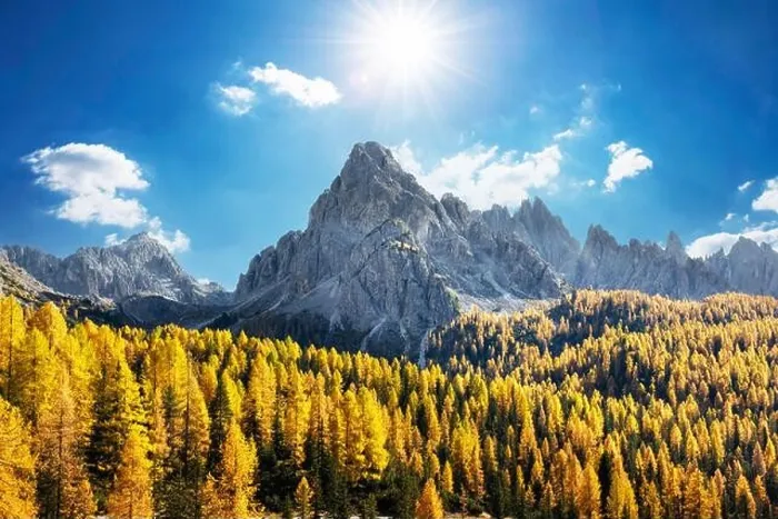 Framed Print : Incredible autumn view at Italian Dolomite Alps. Orange larches forest and foggy mountains peaks on background. Dolomites, Italy