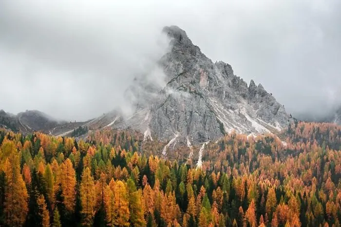 Framed Print : Incredible autumn view at Italian Dolomite Alps. Orange larches forest and foggy mountains peaks on background. Dolomites, Italy Framed Print : Incredible autumn view at Italian Dolomite Alps. Orange larches forest and foggy mountains peaks on background. Dolomites, Italy
