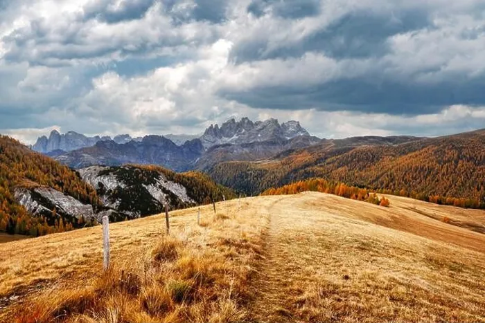 Framed Print : Incredible autumn view at Valfreda valley in Italian Dolomite Alps. Yellow grass, orange larches forest and snowy mountains peaks on background Framed Print : Incredible autumn view at Valfreda valley in Italian Dolomite Alps. Yellow grass, orange larches forest and snowy mountains peaks on background