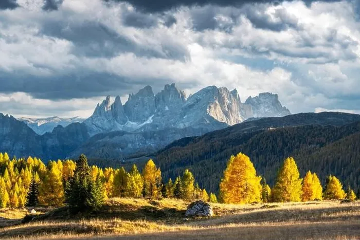 Framed Print : Incredible autumn view at Valfreda valley in Italian Dolomite Alps. Yellow and orange larches forest and snowy mountains peaks on background Framed Print : Incredible autumn view at Valfreda valley in Italian Dolomite Alps. Yellow and orange larches forest and snowy mountains peaks on background