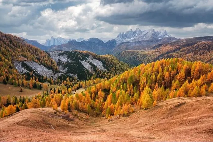Framed Print : Incredible autumn view at Valfreda valley in Italian Dolomite Alps. Yellow grass, orange larches forest and snowy mountains peaks on background Framed Print : Incredible autumn view at Valfreda valley in Italian Dolomite Alps. Yellow grass, orange larches forest and snowy mountains peaks on background