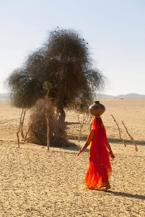 Framed Print : India, Rajasthan, Thar Desert, Indian woman carrying traditional water pot Framed Print : India, Rajasthan, Thar Desert, Indian woman carrying traditional water pot