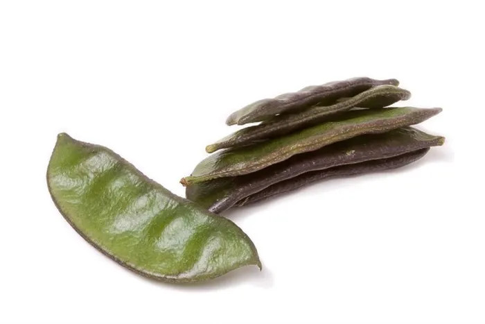 Framed Print : Indian bean Common name: Lablab Bean Framed Print : Indian bean Common name: Lablab Bean
