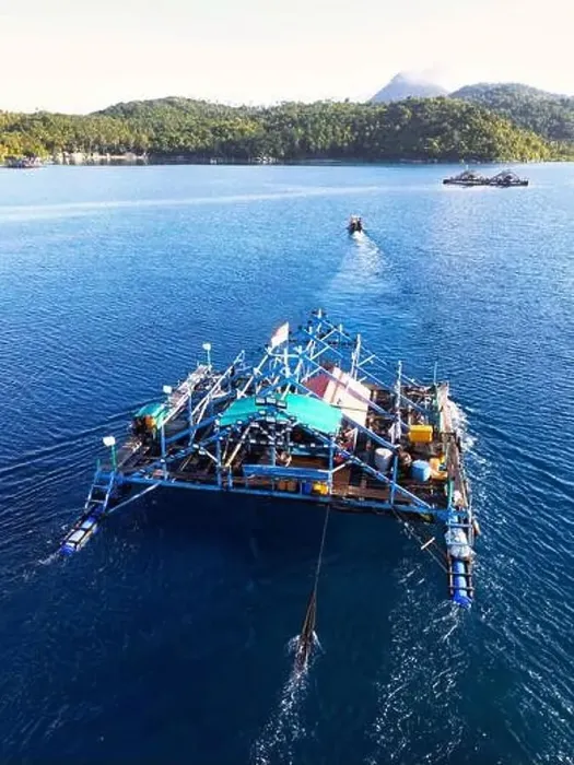 Framed Print : Indonesia Anambas Islands - Drone view Telaga Island Bagan perahu - boat to lift nets Framed Print : Indonesia Anambas Islands - Drone view Telaga Island Bagan perahu - boat to lift nets